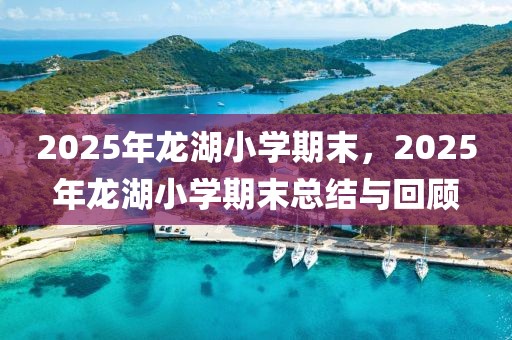 2025年龍湖小學(xué)期末，2025年龍湖小學(xué)期末總結(jié)與回顧