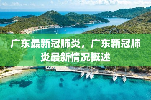 廣東最新冠肺炎，廣東新冠肺炎最新情況概述