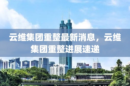 云維集團重整最新消息，云維集團重整進展速遞