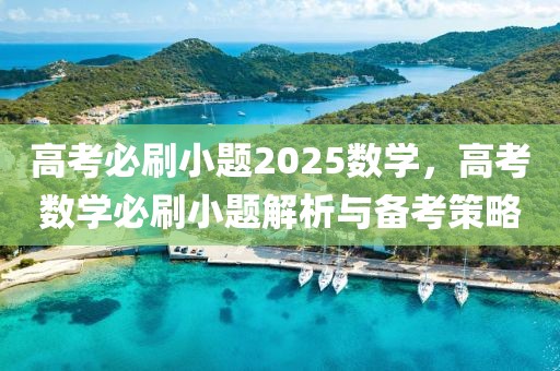 高考必刷小題2025數(shù)學(xué)，高考數(shù)學(xué)必刷小題解析與備考策略