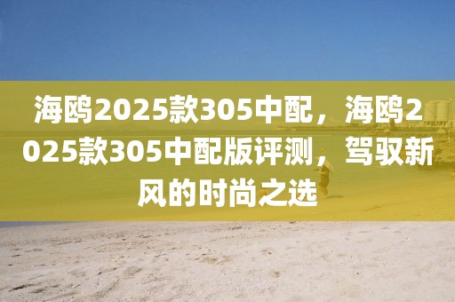 海鷗2025款305中配，海鷗2025款305中配版評(píng)測(cè)，駕馭新風(fēng)的時(shí)尚之選