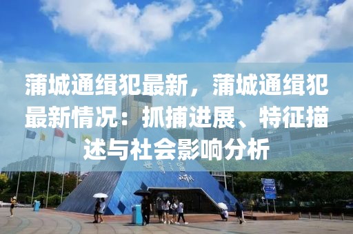 蒲城通緝犯最新，蒲城通緝犯最新情況：抓捕進(jìn)展、特征描述與社會(huì)影響分析