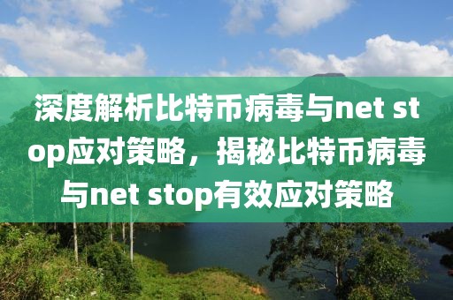 深度解析比特幣病毒與net stop應(yīng)對(duì)策略，揭秘比特幣病毒與net stop有效應(yīng)對(duì)策略