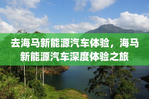 去海馬新能源汽車體驗，海馬新能源汽車深度體驗之旅