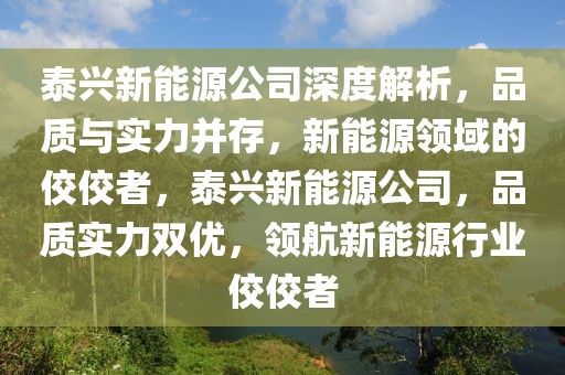 泰興新能源公司深度解析，品質(zhì)與實(shí)力并存，新能源領(lǐng)域的佼佼者，泰興新能源公司，品質(zhì)實(shí)力雙優(yōu)，領(lǐng)航新能源行業(yè)佼佼者