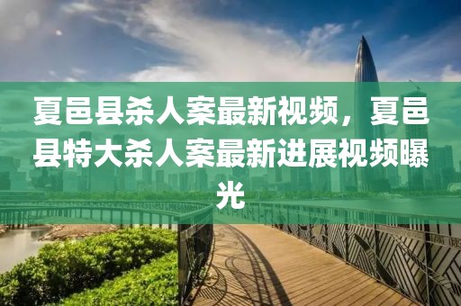 夏邑縣殺人案最新視頻，夏邑縣特大殺人案最新進(jìn)展視頻曝光