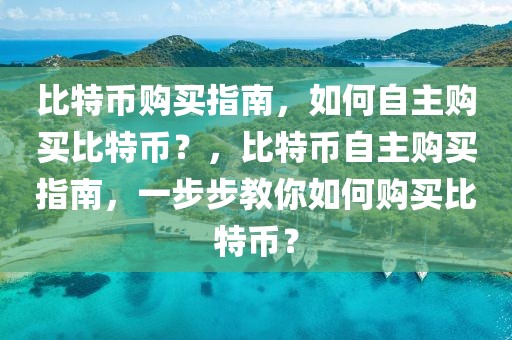 比特幣購買指南，如何自主購買比特幣？，比特幣自主購買指南，一步步教你如何購買比特幣？