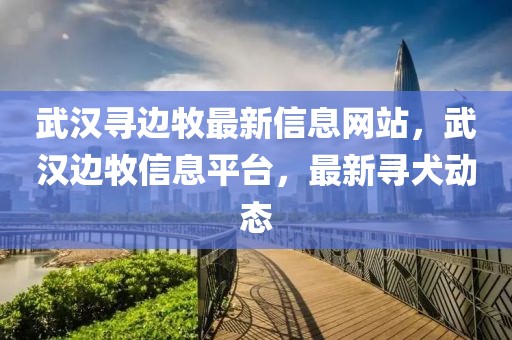 武漢尋邊牧最新信息網(wǎng)站，武漢邊牧信息平臺(tái)，最新尋犬動(dòng)態(tài)