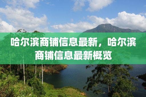 哈爾濱商鋪信息最新，哈爾濱商鋪信息最新概覽