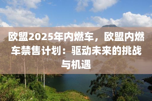 歐盟2025年內(nèi)燃車，歐盟內(nèi)燃車禁售計(jì)劃：驅(qū)動(dòng)未來的挑戰(zhàn)與機(jī)遇