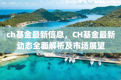 ch基金最新信息，CH基金最新動(dòng)態(tài)全面解析及市場(chǎng)展望