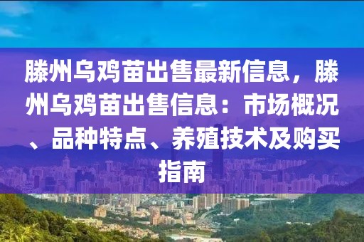 滕州烏雞苗出售最新信息，滕州烏雞苗出售信息：市場概況、品種特點、養(yǎng)殖技術(shù)及購買指南