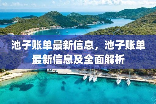 池子賬單最新信息，池子賬單最新信息及全面解析