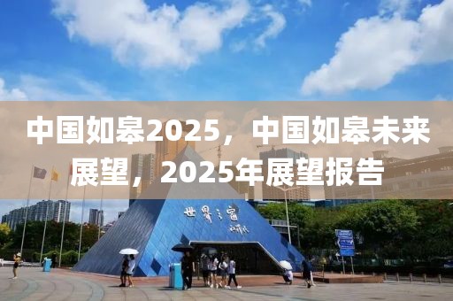 中國如皋2025，中國如皋未來展望，2025年展望報告