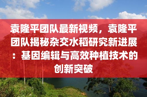 袁隆平團隊最新視頻，袁隆平團隊揭秘雜交水稻研究新進展：基因編輯與高效種植技術(shù)的創(chuàng)新突破