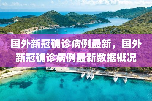 國(guó)外新冠確診病例最新，國(guó)外新冠確診病例最新數(shù)據(jù)概況