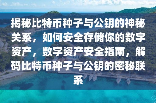 揭秘比特幣種子與公鑰的神秘關(guān)系，如何安全存儲你的數(shù)字資產(chǎn)，數(shù)字資產(chǎn)安全指南，解碼比特幣種子與公鑰的密秘聯(lián)系